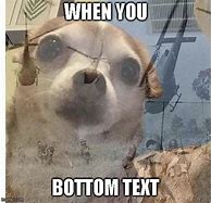 Image result for Dog Meme Bottom Text