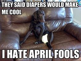 Image result for Diaper Dog Meme