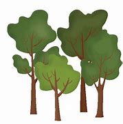 Image result for Cartoon Forest Trees