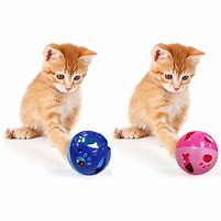 Image result for Cat Ball Toy with Bell Inside
