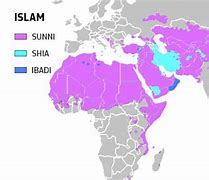 Image result for Sunni-Shia