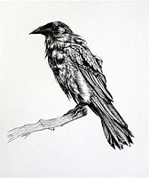 Image result for Raven Like Drawing