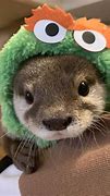 Image result for Cute Sea Otter Babies