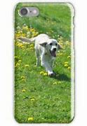 Image result for 8 Dog iPhone Case