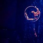 Image result for Le Perle Show
