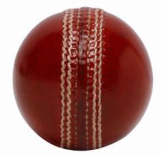 Image result for Parts of the Leather Ball in Cricket