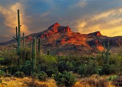 Image result for Arizona Sunset Scenery