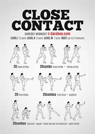 Image result for Martial Arts Workout