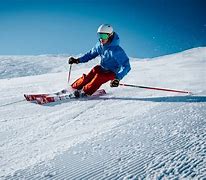 Image result for Downhill Ski