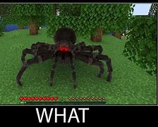 Image result for Minecraft Spider Meme