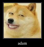 Image result for Akita Dog Meme