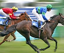 Image result for Race Horse Racing Clip Art