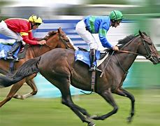 Image result for No. 1 Horse Racing