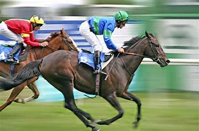 Image result for Race Horse Coloring Pages