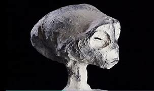 Image result for Maussan Mummies