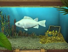 Image result for FFXIV Kissing Fish
