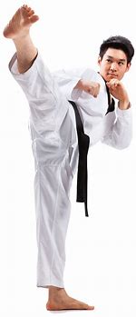 Image result for Karate PNG