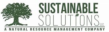 Image result for Sustainable Solutions Corporation Logo