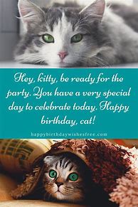 Image result for Happy Friday Kitten Meme