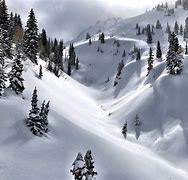 Image result for Ski Powder Alta