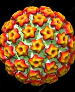 Image result for Lip Human Papillomavirus