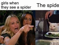 Image result for Spider-Girl Meme