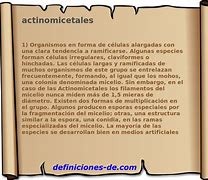 Image result for actinismo
