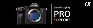 Image result for Sony Alpha Professional Logo