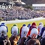 Image result for Goodwood Racecourse Map of Venue