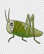 Image result for Cricket ClipArt Bug