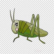 Image result for Cricket Cartoon with Crooked Teeth