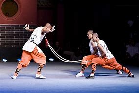 Image result for Shaolin Kung Fu Styles