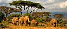 consolato tanzania visto tanzania visto per la tanzania consolato tanzania visto tanzania visto per la tanzania