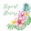 Image result for Tropical Flower Clip Art Free
