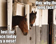 Image result for Horse Racing Humor