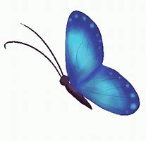 Image result for Blue Butterfly Flower