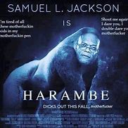 Image result for Harambe Covid Meme