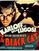 Image result for The Black Cat Movie