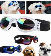Image result for Cool Dog Accessories
