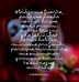 Image result for Frases De Amor En Espanol