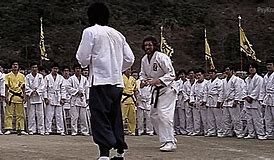 Image result for American Martial Arts Films