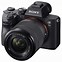 Image result for Sony Alpha a7 III