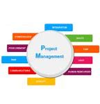 Image result for Project Management Mind Map