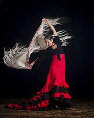 Image result for Flamenco