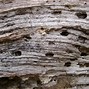 Image result for Falling Water Texture
