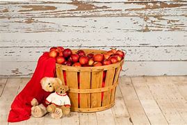 Image result for Basket of Fall Apples