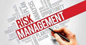 Image result for Define Risk Management