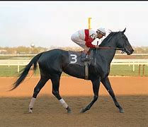 Image result for Ruffian RaceHorse