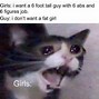 Image result for You Got This Cat Meme
