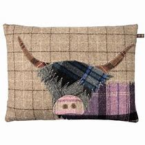 Image result for Highland Cow Pillow